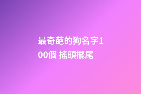 最奇葩的狗名字100個 搖頭擺尾